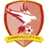 Thimphu City Football Team Results