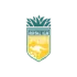 Kangaroo P Rovers Football Team Results