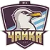 Chaika Petropavlovskaya Football Team Results