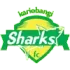 Kariobangi Sharks Football Team Results
