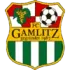 FC Gamlitz Football Team Results
