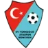 Turkgucu Munchen Football Team Results