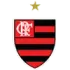 Saint-Omer Football Team Results