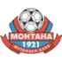 Montana Football Team Results