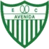 Avenida Football Team Results