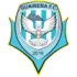 Guairena FC Football Team Results