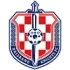 Brisbane Knights Football Team Results