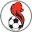 Pennarossa Football Team Results