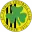 Saint Patrick FC Zabbar Football Team Results