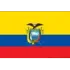 Ecuador U20 Football Team Results