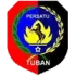 Persatu Tuban Football Team Results