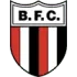 Botafogo SP U20 Football Team Results