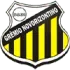 Gremio Novorizontino U20 Football Team Results