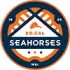 Southern California Seahorses Football Team Results
