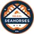 Southern California Eagles Football Team Results