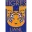 Tigres UANL (W) Football Team Results