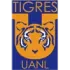 Tigres UANL (W) Football Team Results