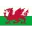 Wales Women Football Team Results