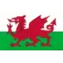 Wales Women Football Team Results