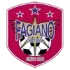 Fagiano Okayama Football Team Results