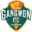 Gangwon FC Football Team Results