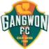 Gangwon FC Football Team Results