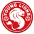 Young Lions