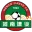 Henan Football Team Results