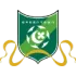 Zhejiang Football Team Results