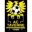 AC Taverne Football Team Results