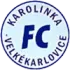 Velke Karlovice Football Team Results