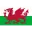 Wales (W) Football Team Results