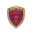 Al Wahda Abu Dhabi Football Team Results