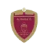 Al Wahda Abu Dhabi Football Team Results