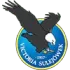Victoria Sulejowek Football Team Results