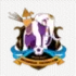 Phitsanulok FC Football Team Results