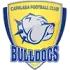Capalaba BPL Women Football Team Results