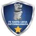 Santa Lucia Cotzumalguapa Football Team Results