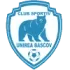 Unirea Bascov Football Team Results