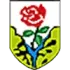 Trento Football Team Results