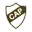 Platense Women Football Team Results