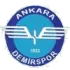 Ankara Demirspor Football Team Results