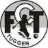 FC Tuggen Football Team Results