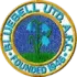 Bluebell United Football Team Results