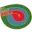 Miedz Legnica Football Team Results