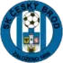 Cesky Brod Football Team Results