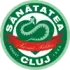 CS Sanatatea Cluj Football Team Results
