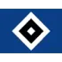 Hamburger SV III Football Team Results