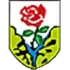 ASD Seravezza Calcio Football Team Results