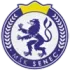 MSK Senec Football Team Results